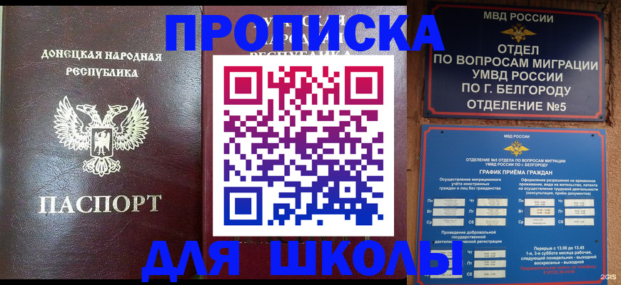прописка для работы в Электрогорске